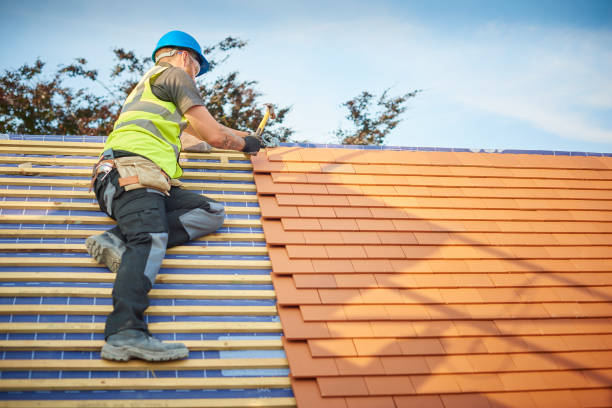 Best Asphalt Shingle Roofing  in Boca Raton, FL